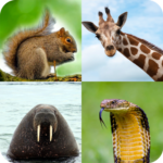 Animal Quiz MOD APKs 1.1.62 (Unlimited Money)