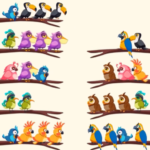 Bird Sort Puzzle MOD APKs 2.69 (Unlimited Money)