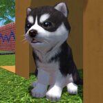 Cute Pocket Puppy 3D MOD APKs 1.10.9 (Unlimited Money)