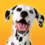 Dalmatian Simulator MOD APKs 1.3.0 (Unlimited Money)