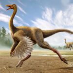 Gallimimus Simulator MOD APKs 1.3.0 (Unlimited Money)