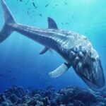 Leedsichthys Simulator MOD APKs 1.2.6 (Unlimited Money)