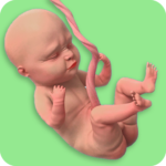 Mom Pregnancy Games MOD APKs 0.22 (Unlimited Money)