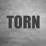 TORN MOD APKs 2.3.23 (Unlimited Money)