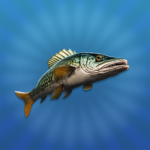 True Fishing 2 MOD APKs 1.19.1.914 (Unlimited Money)