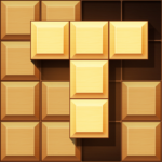 Wood Block Challenge MOD APKs 1.0.28 (Unlimited Money)