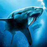 Helicoprion Simulator MOD APKs 1.3.0 (Unlimited Money)