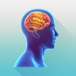 Trivia Knowledge Trainer Quiz MOD APKs 5.0.1 Unlimited Money Trivia Knowledge Trainer Quiz MOD APKs 5.0.1 Unlimited Money