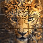 Wild Animals Puzzle Game MOD APKs 1.1.2 (Unlimited Money)
