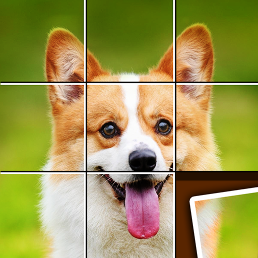 Shape Sort MOD APKs 1.9 (Unlimited Money)