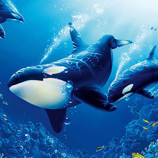 The Killer Whale MOD APKs 1.3.2 (Unlimited Money)