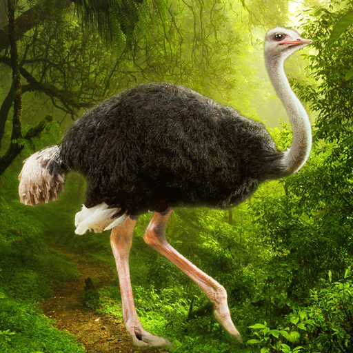 The Ostrich MOD APKs 1.3.2 (Unlimited Money)