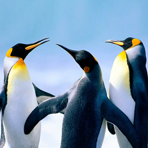 The Penguin MOD APKs 1.2.8 (Unlimited Money)