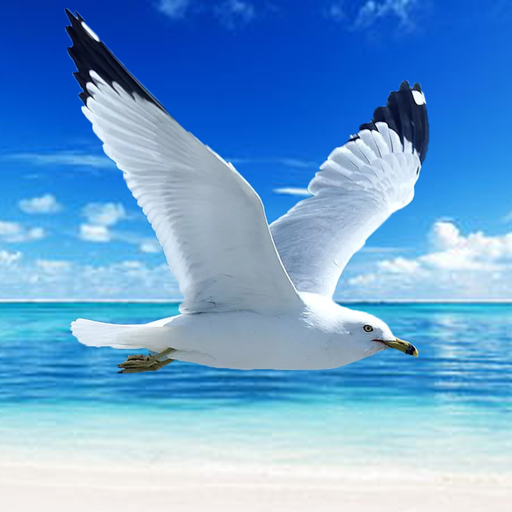 The Seagull MOD APKs 1.2.6 Unlimited Money The Seagull MOD APKs 1.2.6 Unlimited Money