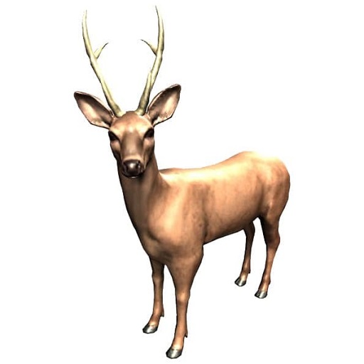 Zookidi-3D MOD APKs 1.36 (Unlimited Money)