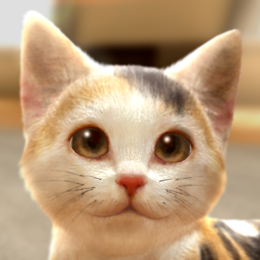 with My CAT MOD APKs 1.2.10 (Unlimited Money)