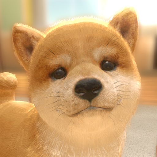 with My DOG MOD APKs 1.1.6 Unlimited Money with My DOG MOD APKs 1.1.6 Unlimited Money