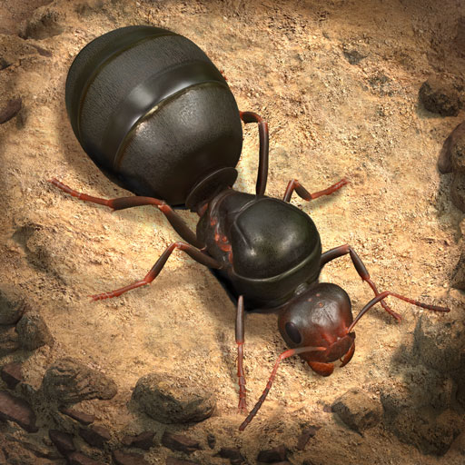 The Ants MOD APKs 3.99.0 (Unlimited Money)