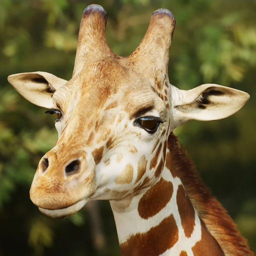 The Giraffe MOD APKs 1.3.4 (Unlimited Money)