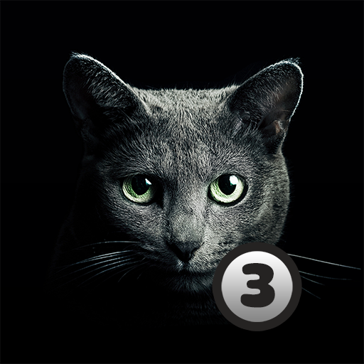 Find A Cat 3 MOD APKs 1.7.0 (Unlimited Money)