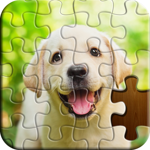 Jigsaw Puzzle MOD APKs 8.20.258 (Unlimited Money)