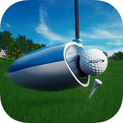 Perfect Swing MOD APKs 1.909 (Unlimited Money)